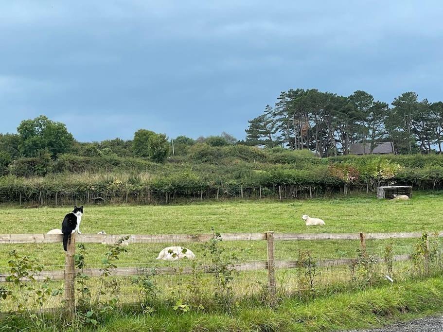 Tranquil, Secluded, Rural Cottage For Two Beaumaris Exterior photo