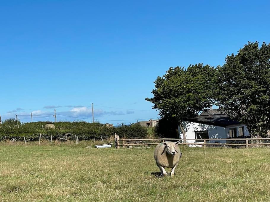 Tranquil, Secluded, Rural Cottage For Two Beaumaris Exterior photo